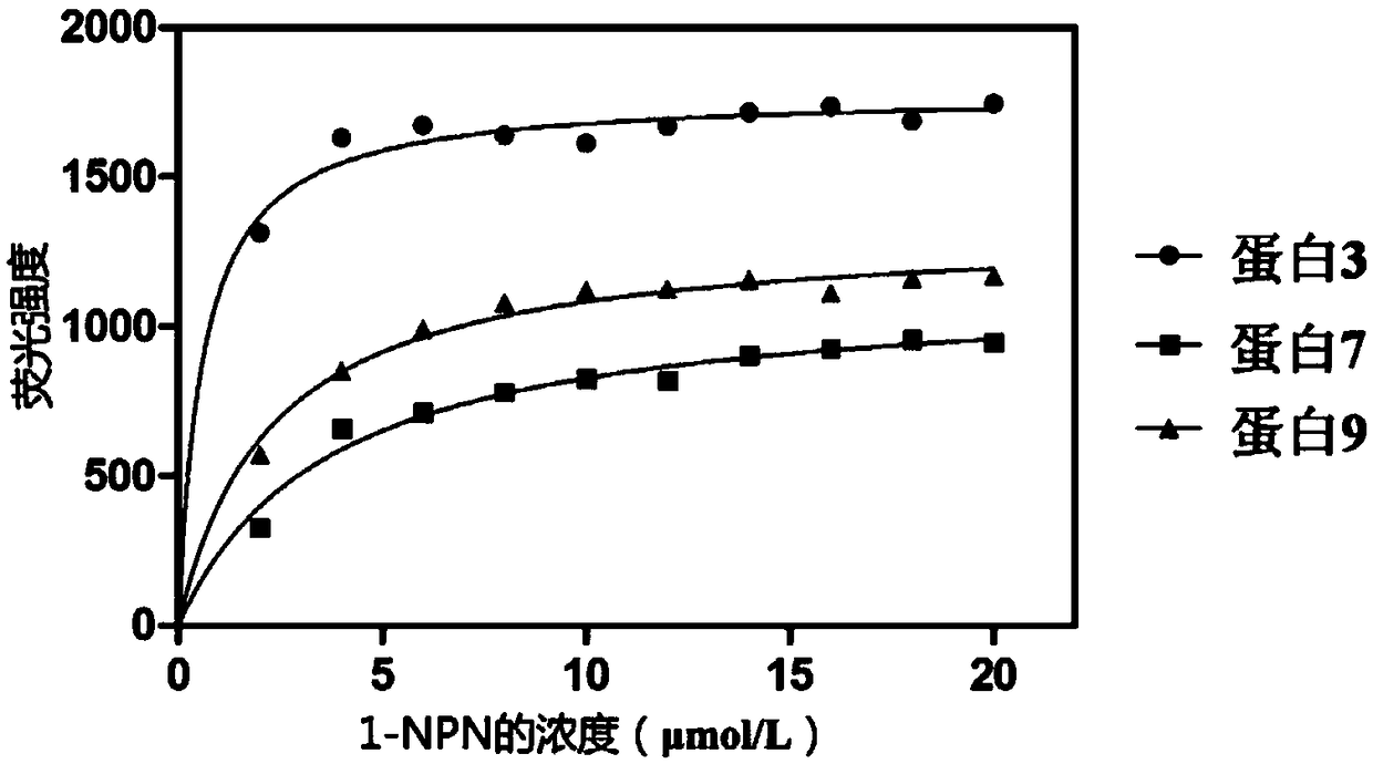Odorant-binding protein of Myzus persicae and application of odorant-binding protein