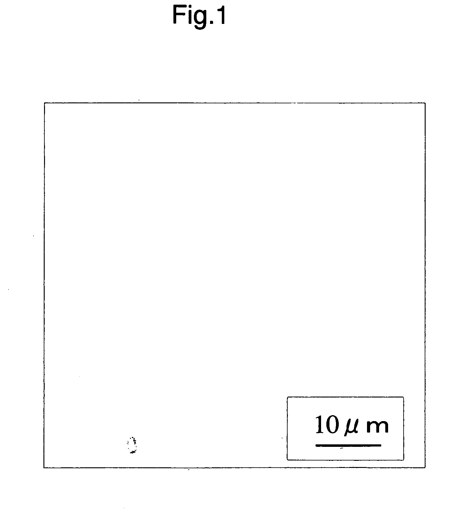 Polylactic acid resin composition, process for producing the same, biaxially stretched polylactic acid film, and molded articles thereof