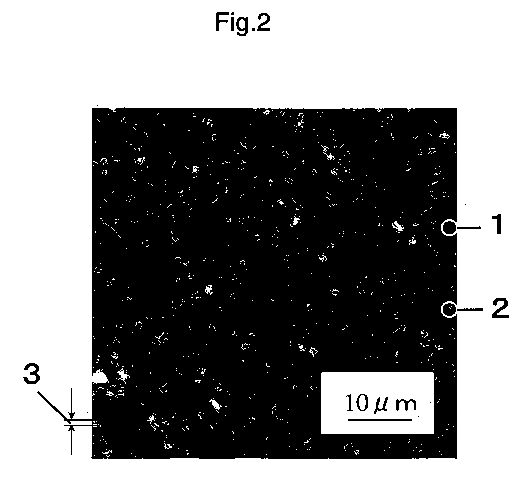 Polylactic acid resin composition, process for producing the same, biaxially stretched polylactic acid film, and molded articles thereof