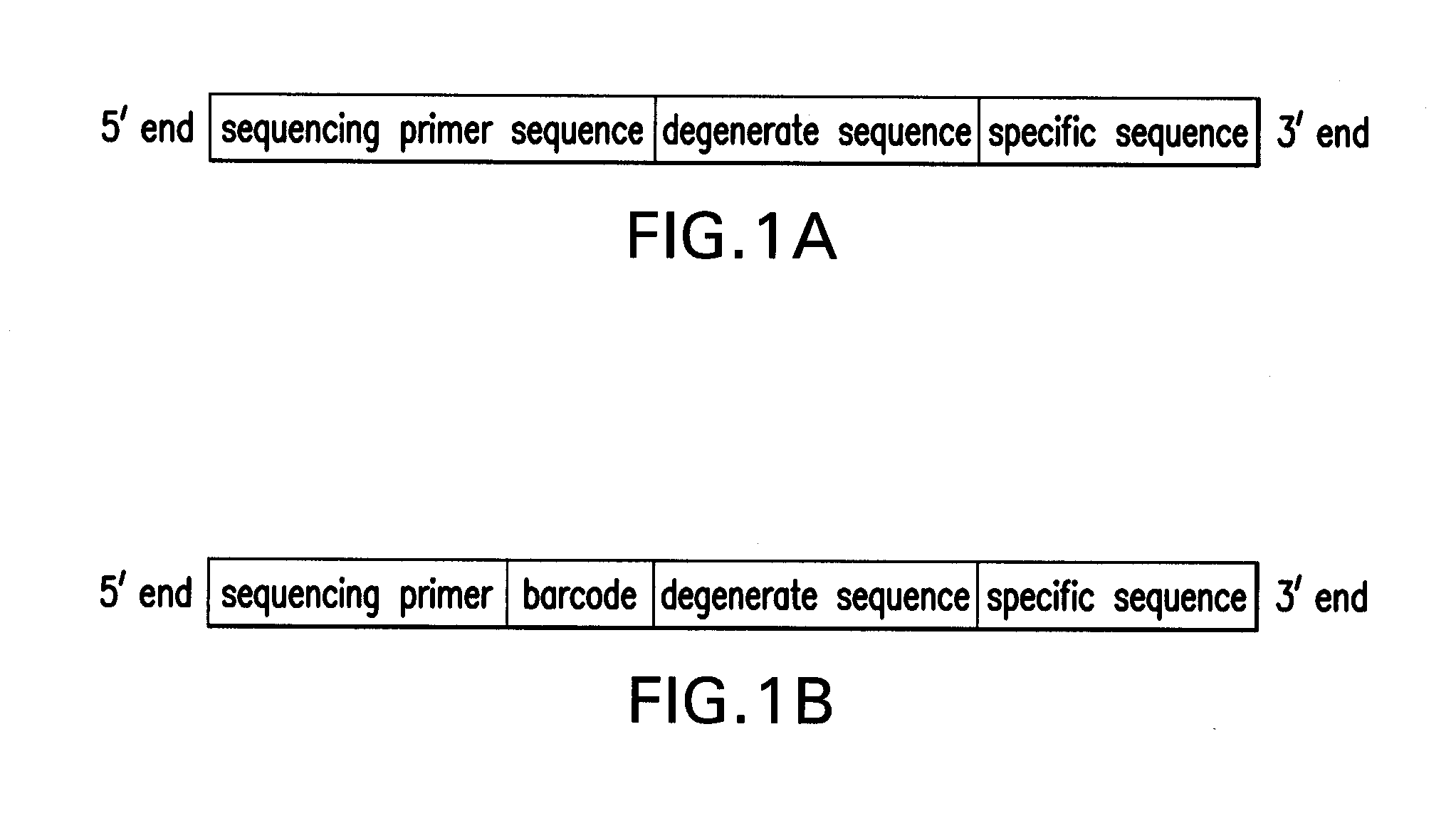 Method for genome complexity reduction and polymorphism detection