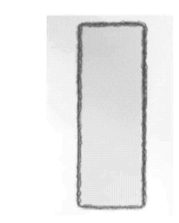 Negative photoresist developing solution and application thereof