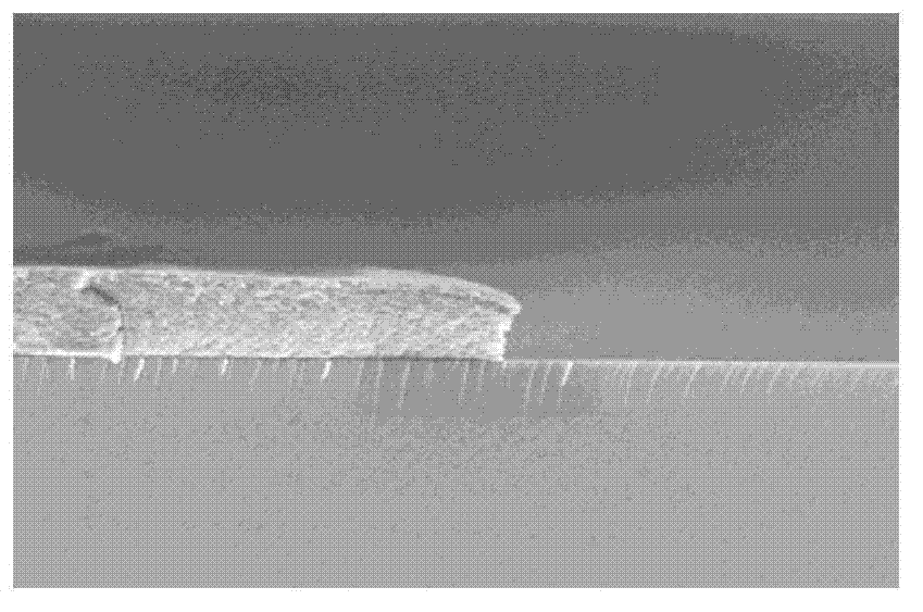 Negative photoresist developing solution and application thereof