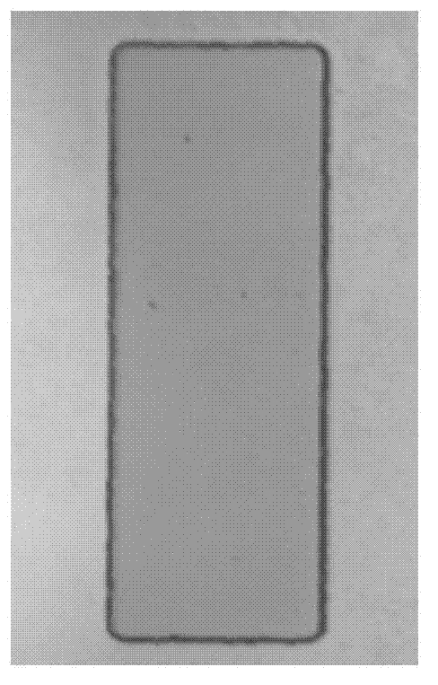 Negative photoresist developing solution and application thereof