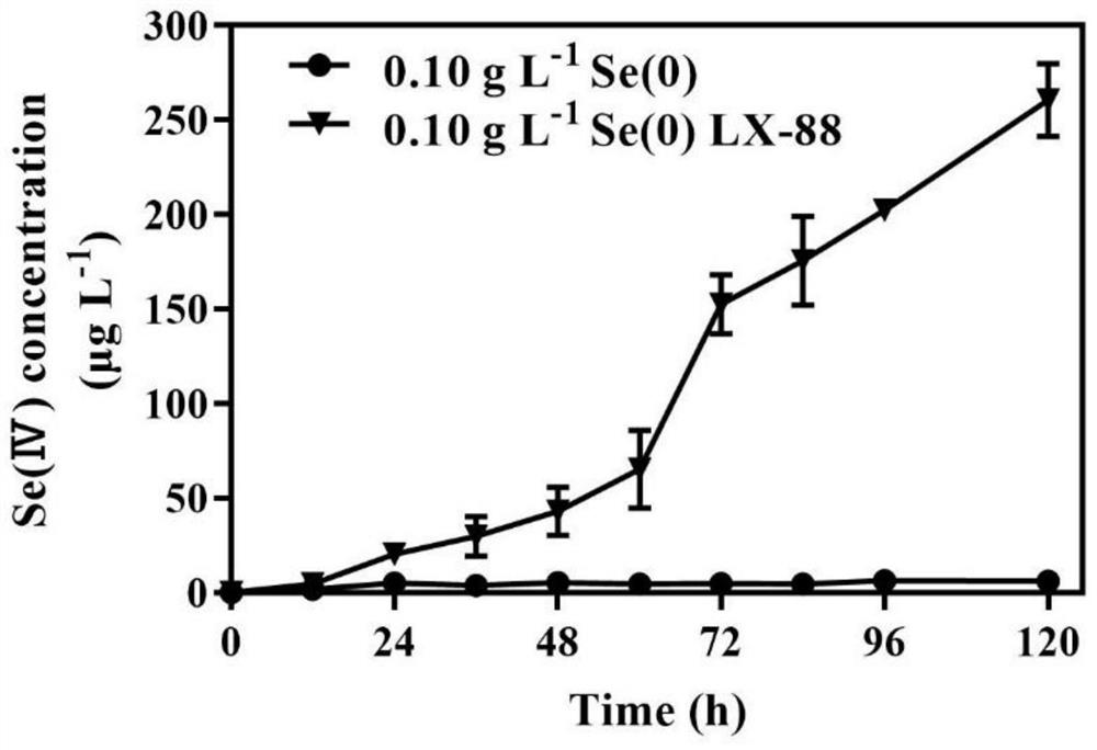 LX-88 strain with good selenium conversion and Se (0) oxidation capacities and application of LX-88 strain