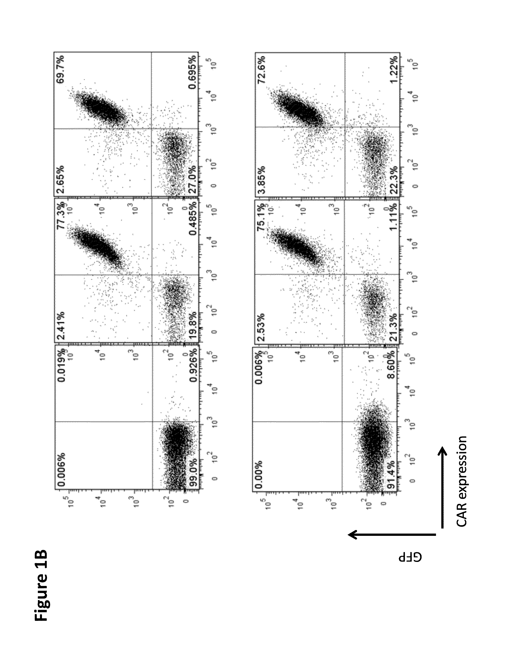 Chimeric antigen receptor specific for folate receptor β