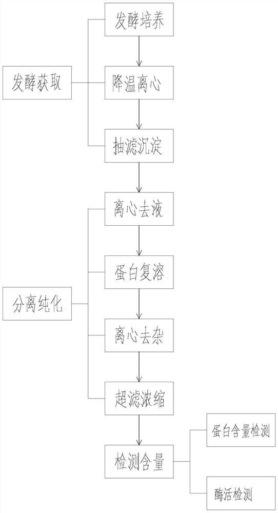 Preparation method for obtaining phospholipase D through fermentation of genetically engineered streptomyces