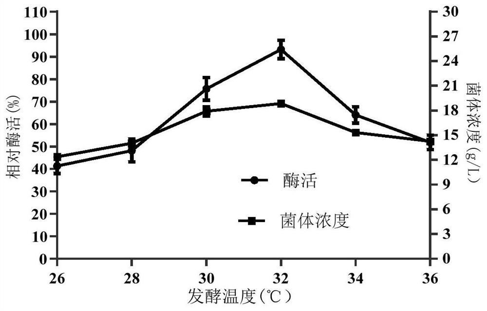 Preparation method for obtaining phospholipase D through fermentation of genetically engineered streptomyces