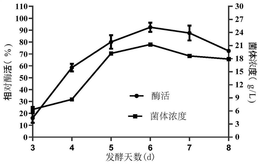 Preparation method for obtaining phospholipase D through fermentation of genetically engineered streptomyces