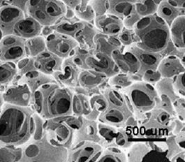 A kind of preparation method of fast-expandable ultra-porous composite hemostatic material