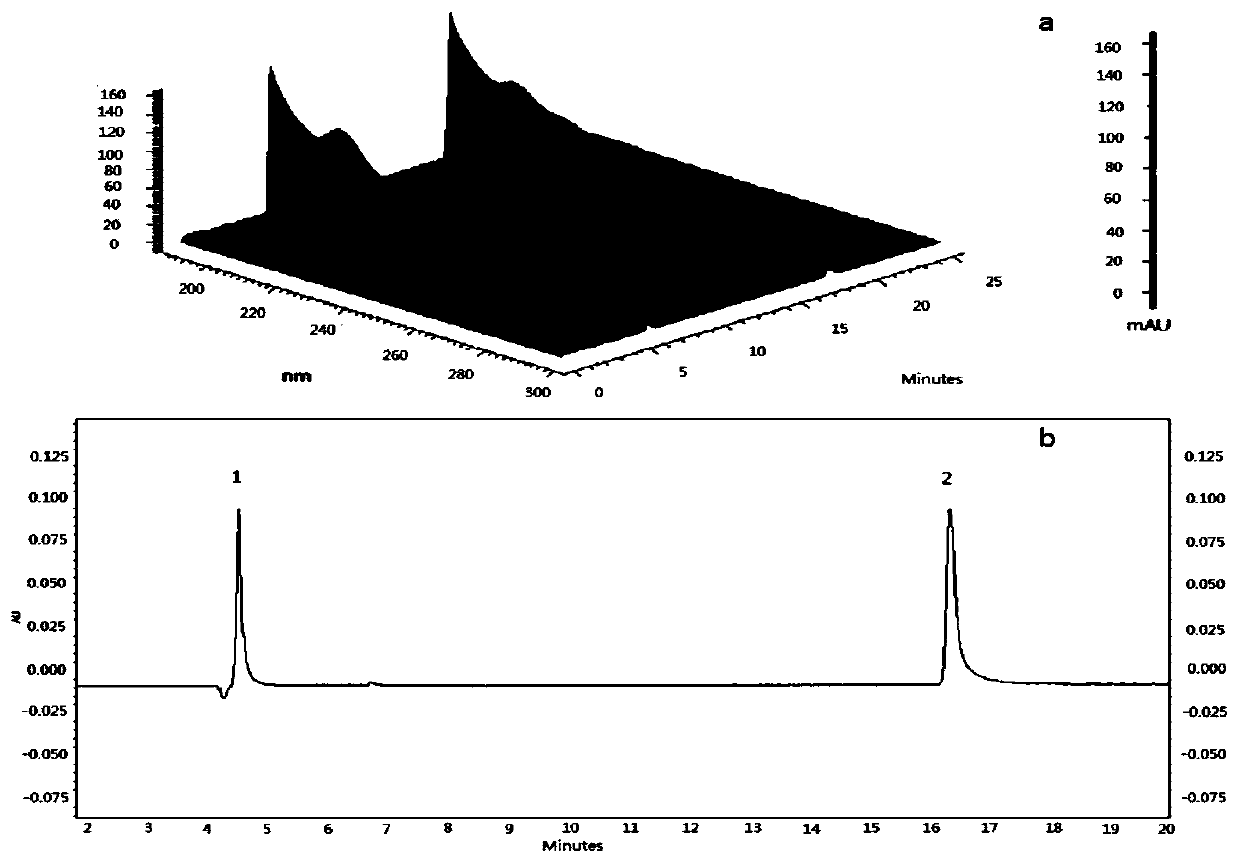 A detection method of 5-fluorocytosine and 5-fluorouracil in cells based on capillary electrophoresis