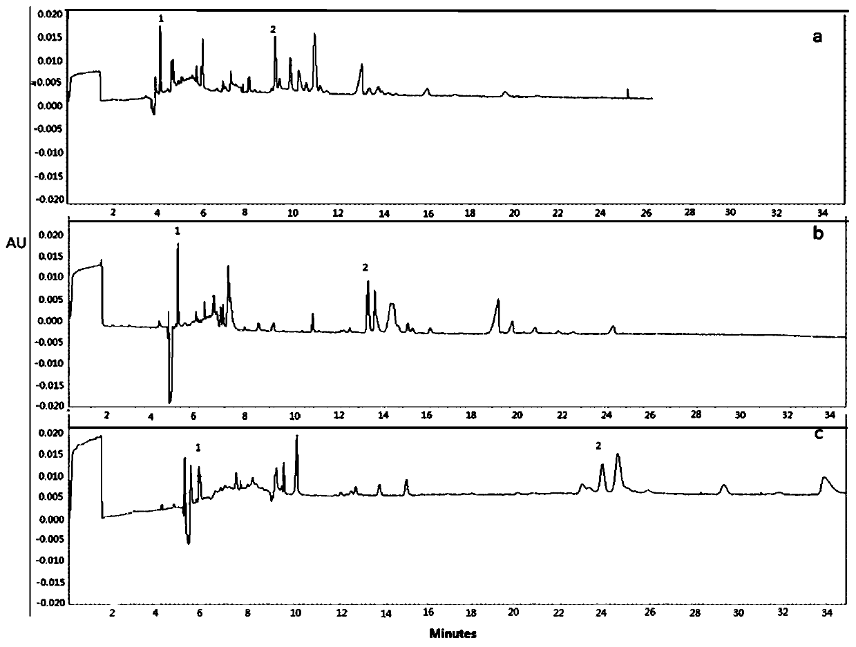 A detection method of 5-fluorocytosine and 5-fluorouracil in cells based on capillary electrophoresis