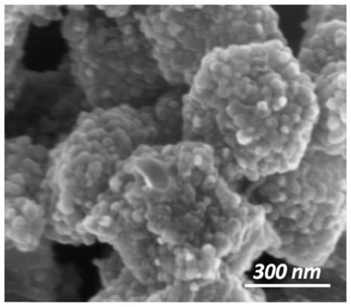 Carbon-containing iron-based catalyst for hydrogenation of CO2 to prepare hydrocarbons, and preparation method thereof