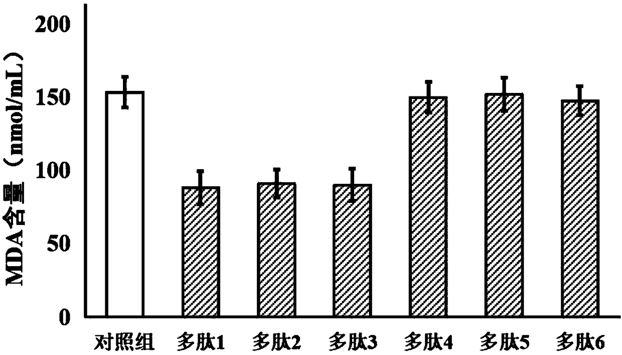 Camellia oleifera meal polypeptide, preparation method and application in cryopreservation of bovine semen