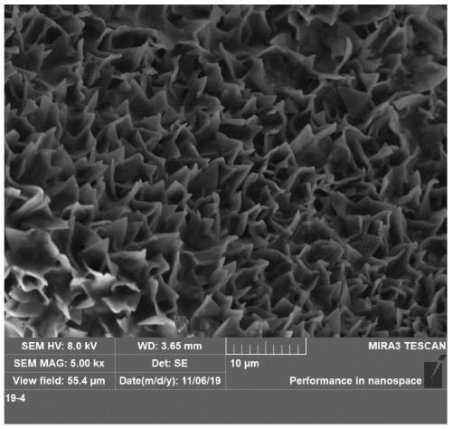 Method for preparing nanometer flake cobalt phosphide through vapor deposition