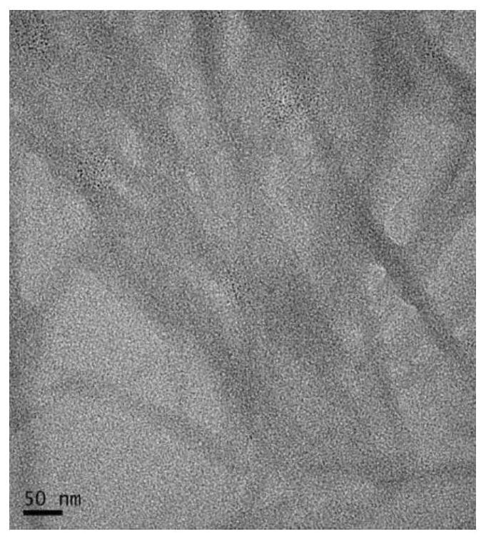 A chitin nano whisker/hydroxyapatite composite artificial bone material and its preparation method and application in 3D printing