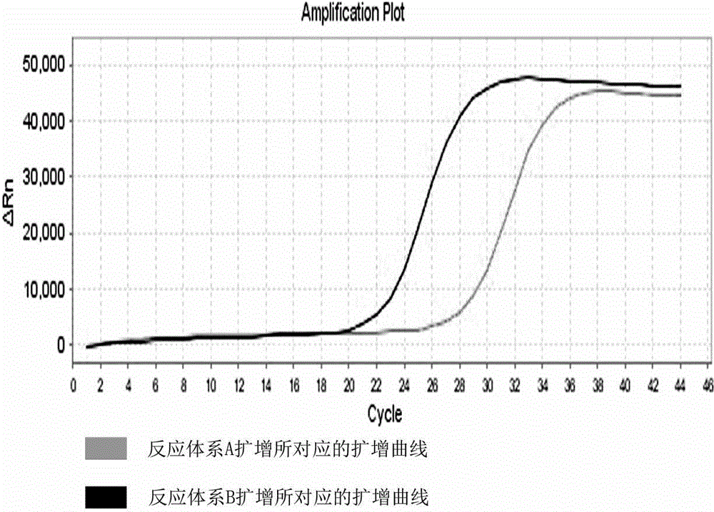 MTRR gene polymorphism detection primer system and reagent kit thereof