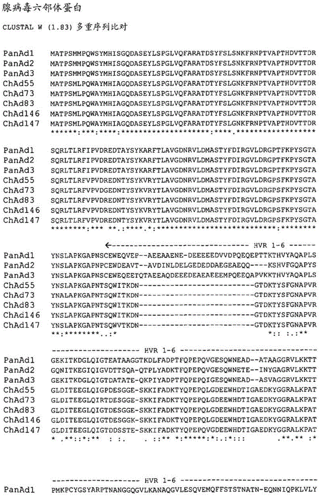 Simian adenovirus nucleic acid- and amino acid-sequences, vectors containing same, and uses thereof