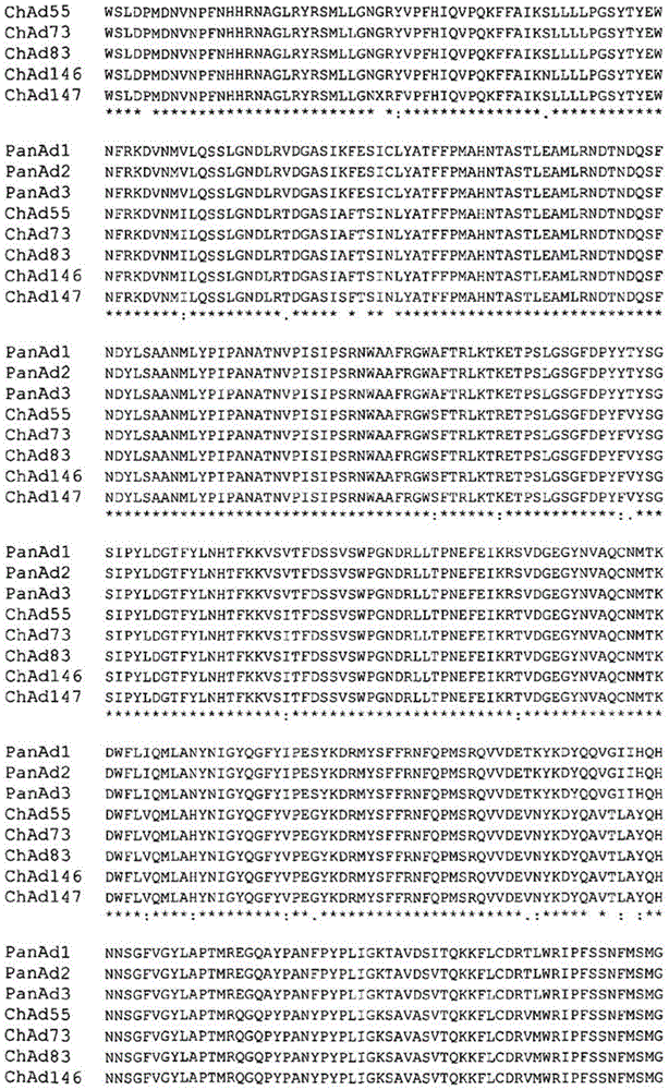 Simian adenovirus nucleic acid- and amino acid-sequences, vectors containing same, and uses thereof