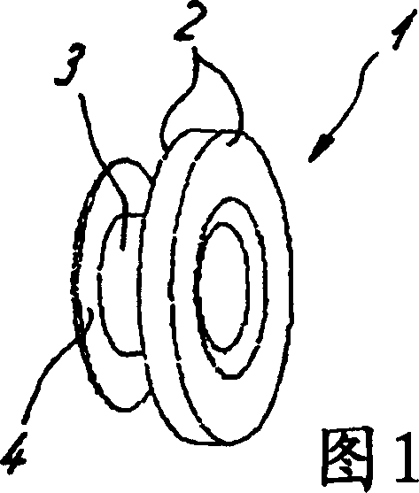 Brake disk that can be fixed to a wheel hub