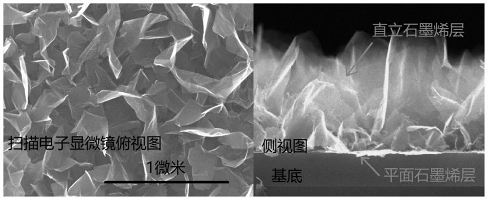 An upright few-layer graphene-metal nanoparticle composite catalytic electrode