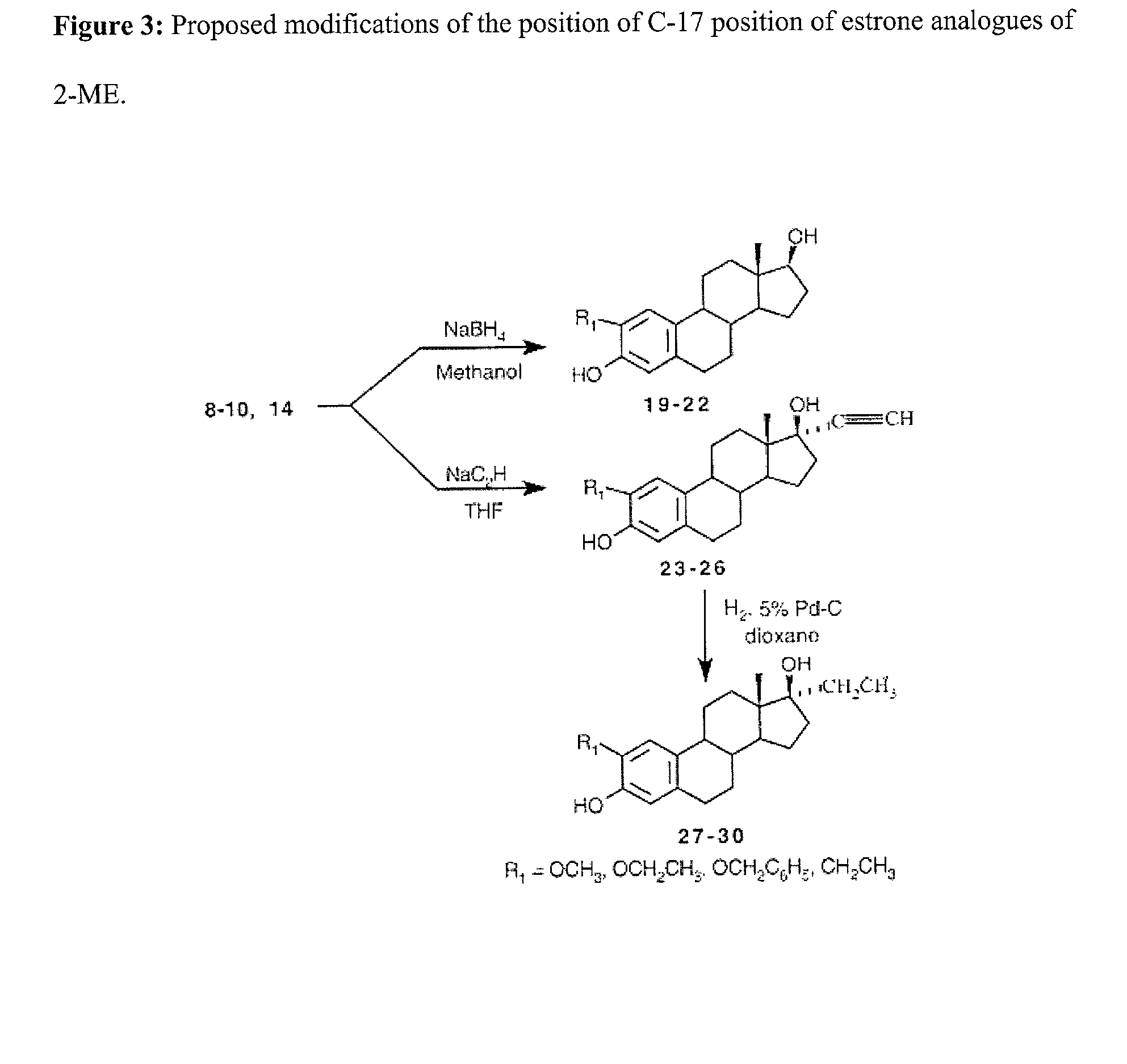 Method and composition of novel compounds for the therapy and targeting of the primary modalities of cancer cell proliferation and homeostasis