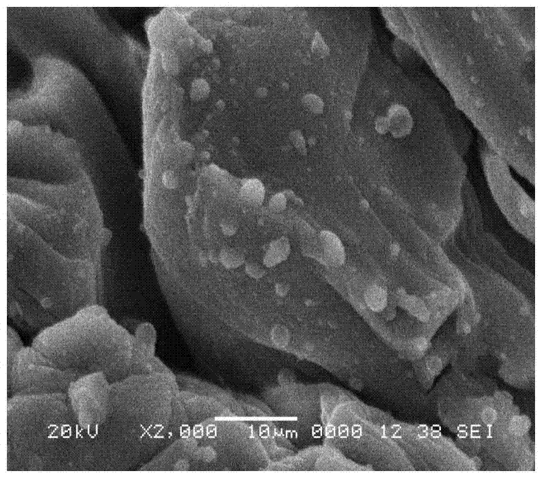 Preparation method of cadmium removal agent of thiolated chitosan microsphere