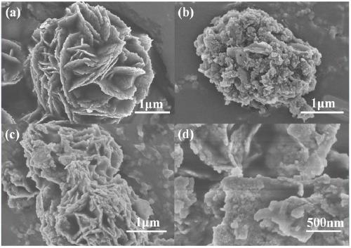 A kind of bismuth tungstate/carbon nitride composite photocatalyst and its preparation method and application