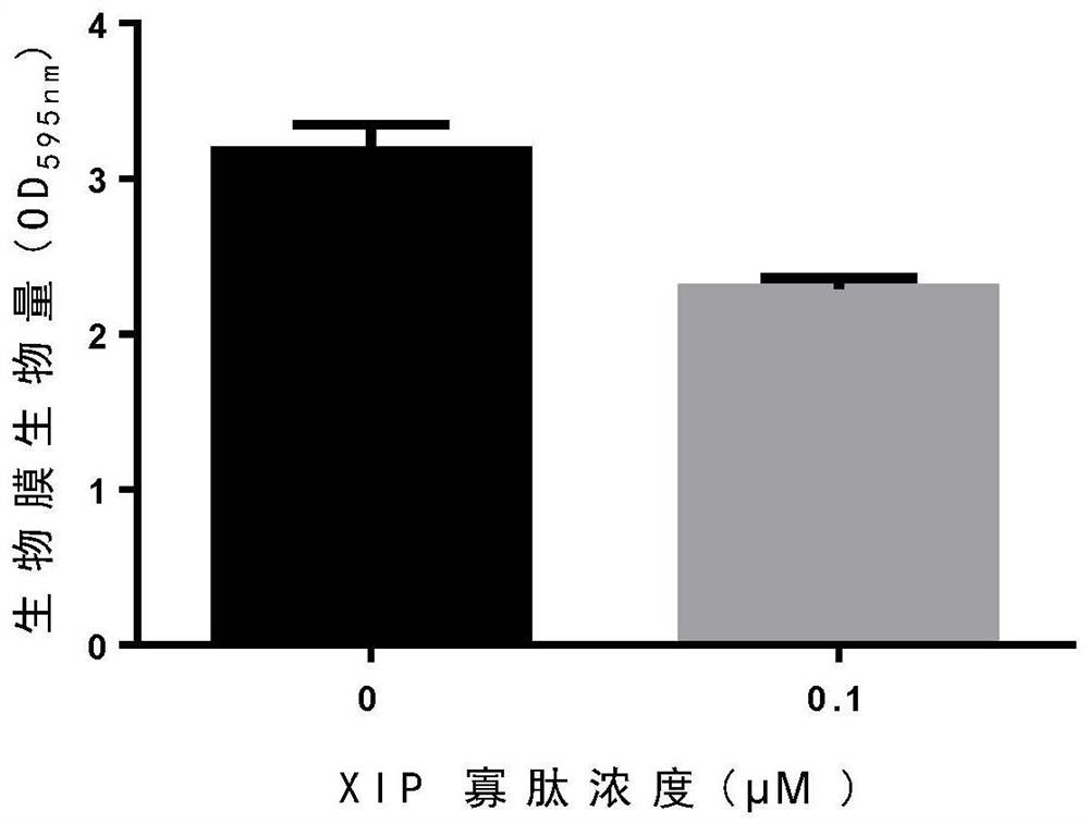 Oligopeptide used for inhibiting fungal biofilm and application of oligopeptide