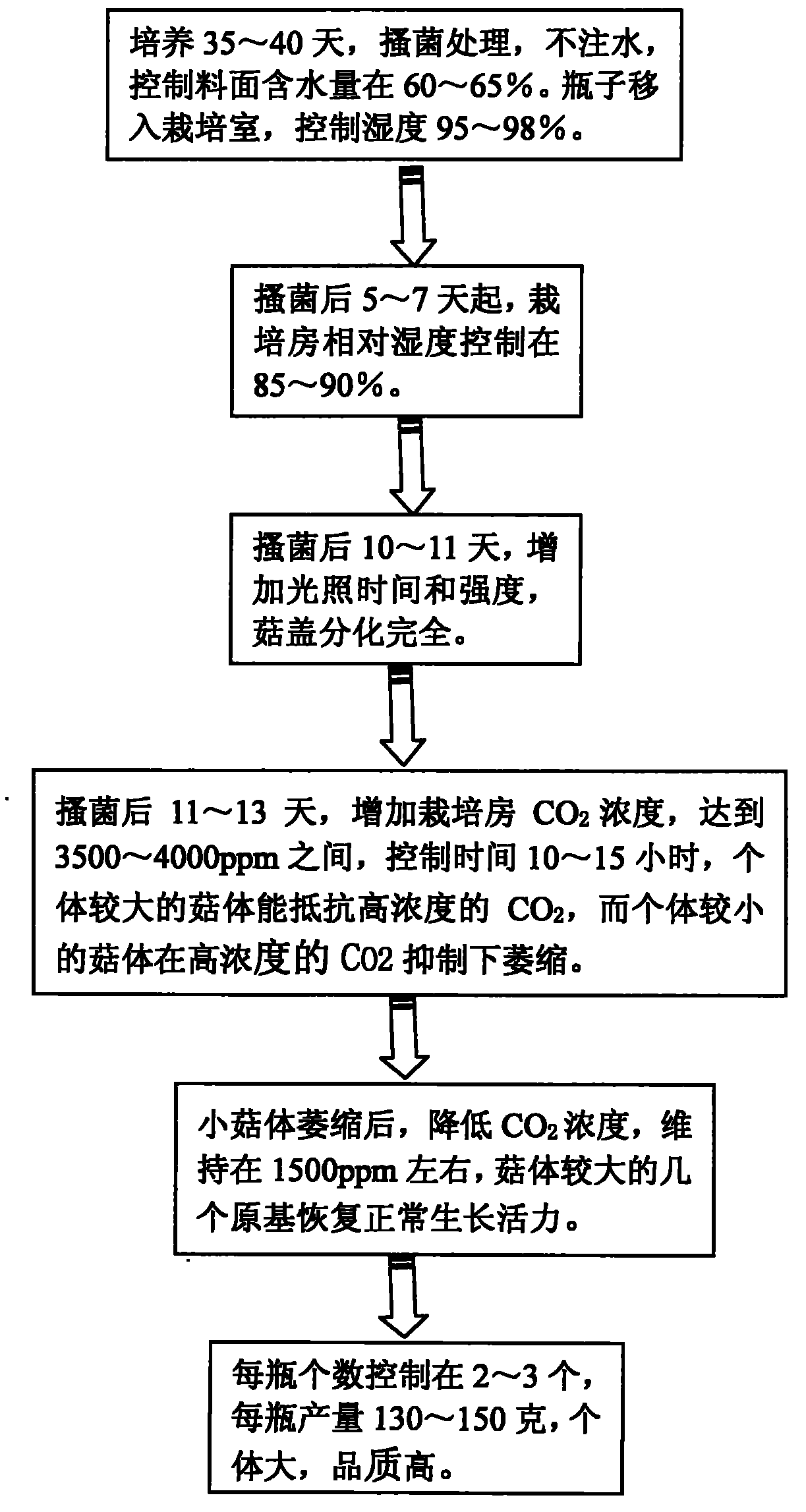 Primordium control method during pleurotus eryngiu factory production.