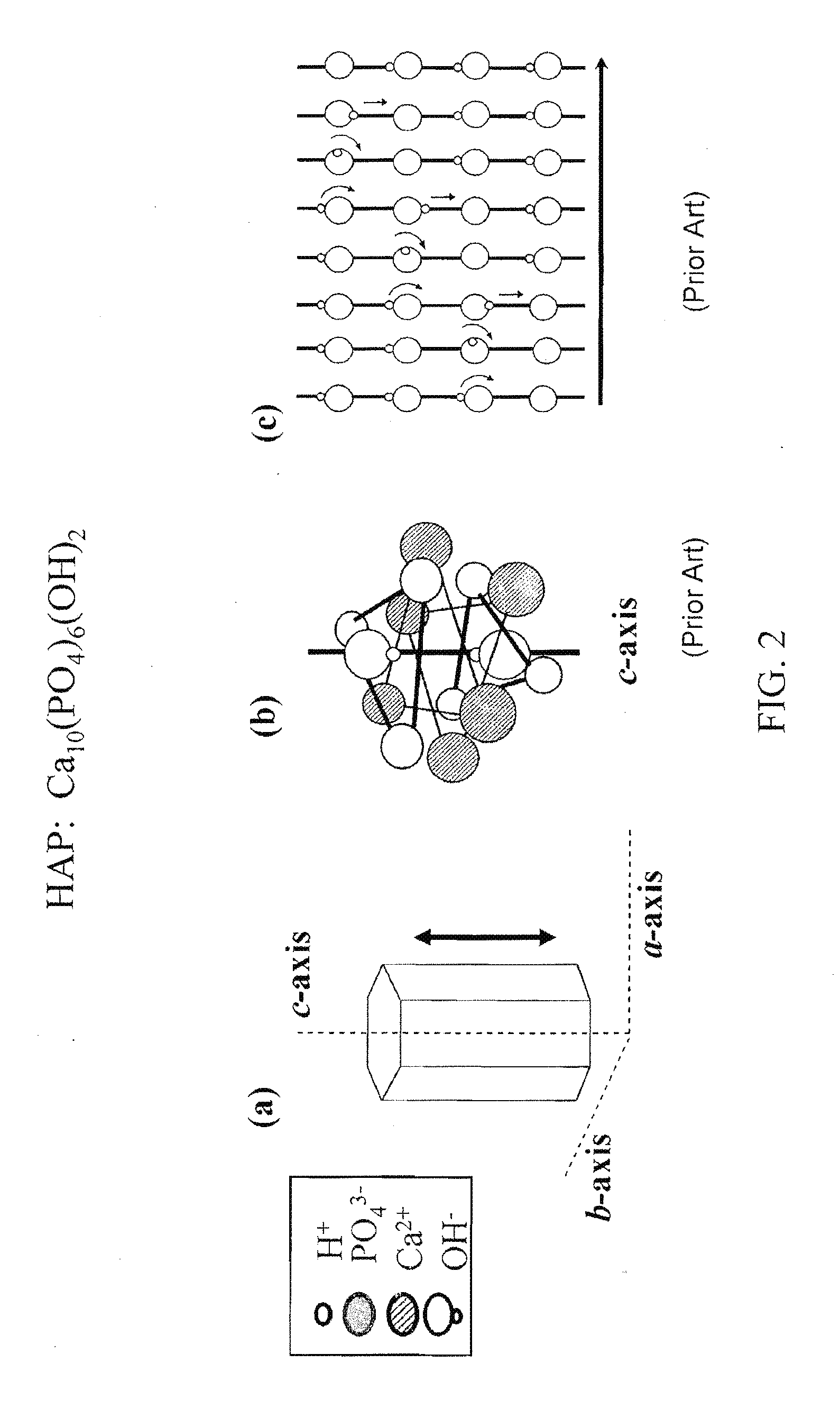 Ion/proton-conducting apparatus and method