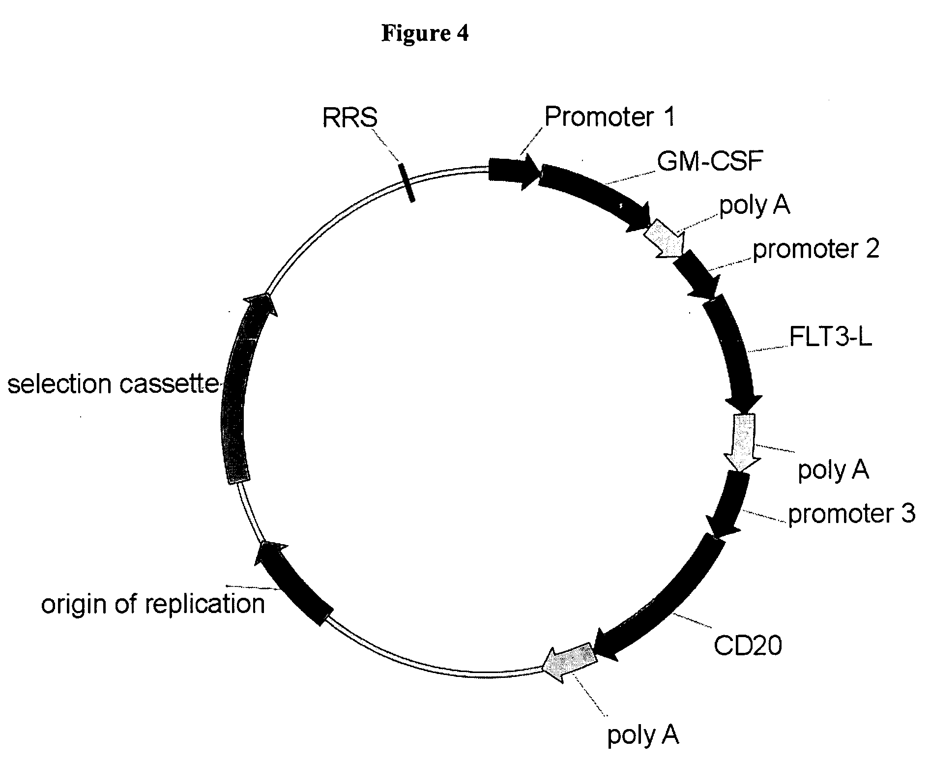 DNA immunization with recombinase/transposase