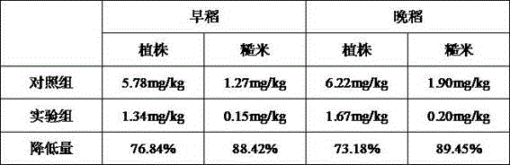 Composite modifying agent for repairing paddy field soil Cd pollution and preparation method and application method thereof