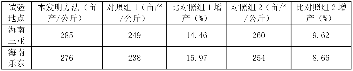 Small-grain hybrid seed production method