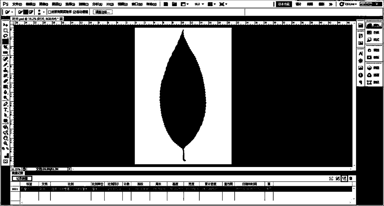 Method for determining plant leaf area based on Photoshop software