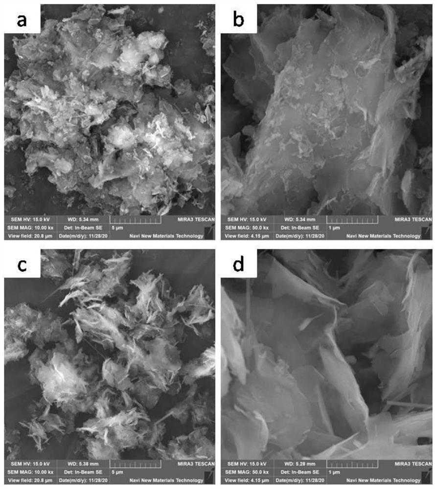 Self-stripping rectorite/carbon nitride nano composite catalytic material and preparation method and application thereof