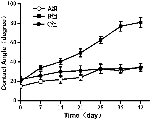 T-type endotracheal intubation with antibacterial and lubricating functions for medical use and preparation method thereof