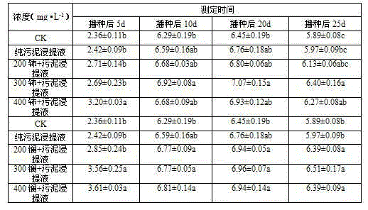 Method for regulating festuca arundinacea protective enzyme under water stress by using sludge and rare earth mixed seed soaking liquid