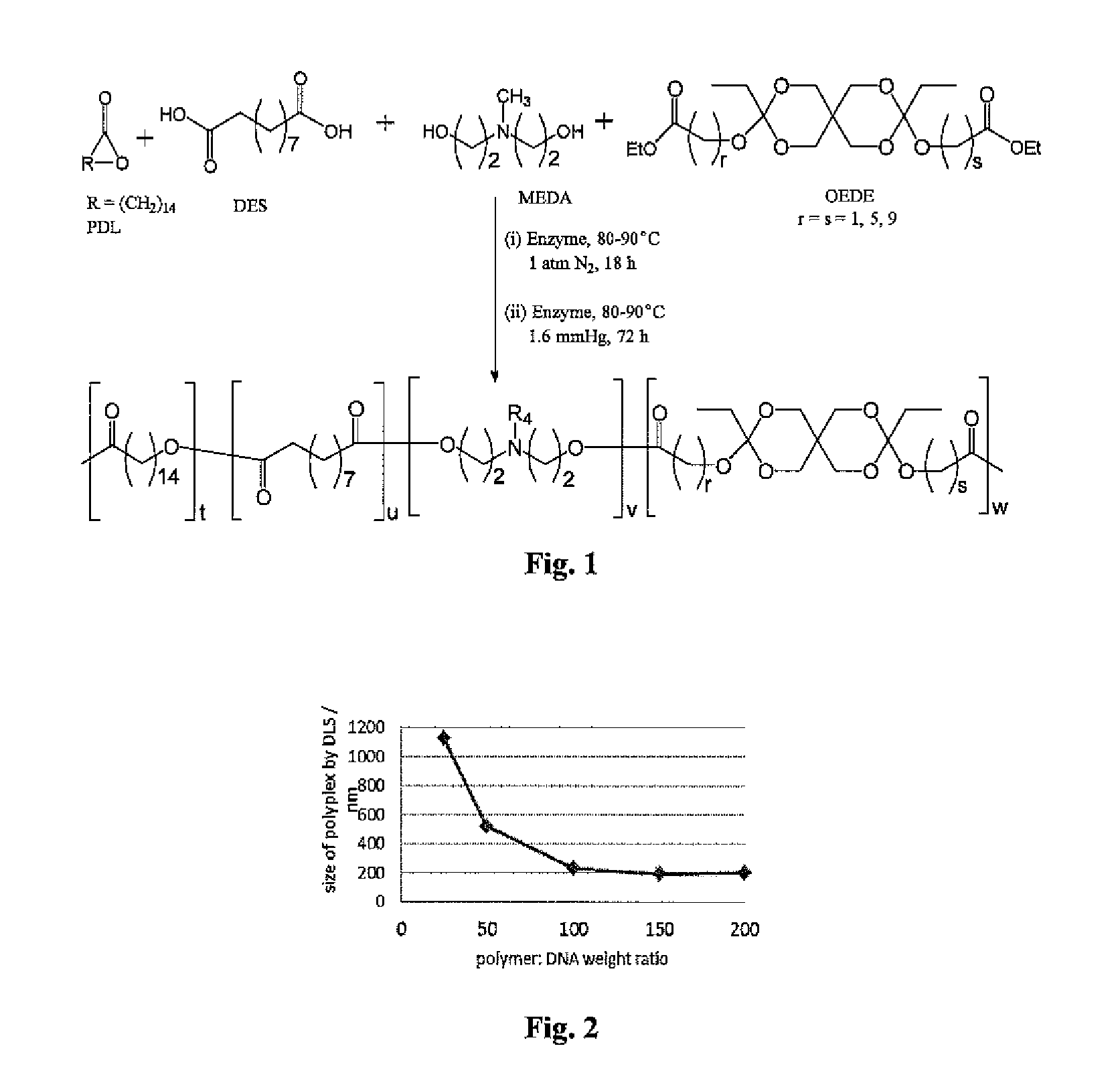 Formulations for targeted release of agents to low ph tissue environments or cellular compartments and methods of use thereof