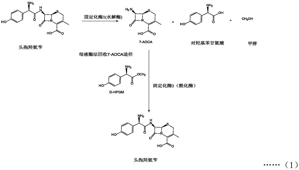 7-ADCA recovery method