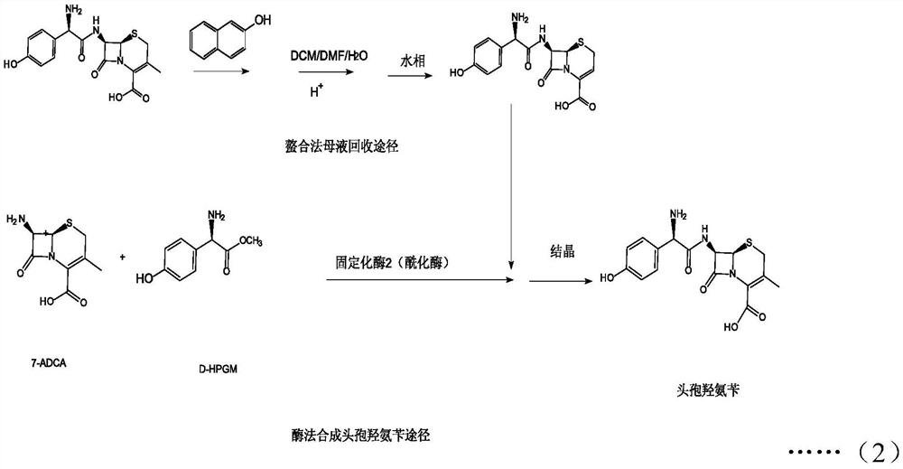 7-ADCA recovery method