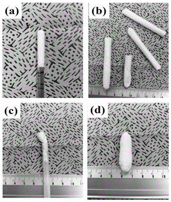 A three-dimensional porous fiber scaffold, preparation method and application