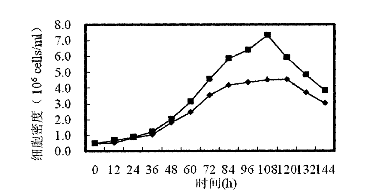 Chinese hamster ovary culture medium as well as preparation method and application thereof