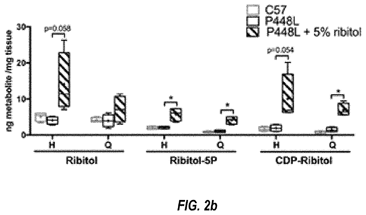 Methods and compositions for treating disorders associated with muscle weakness