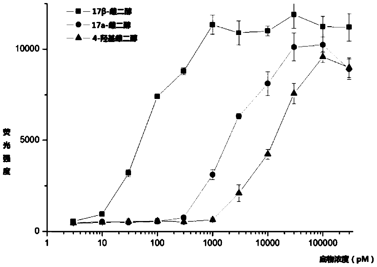 Recombinant yeast for detecting estrogenic compounds and its construction method