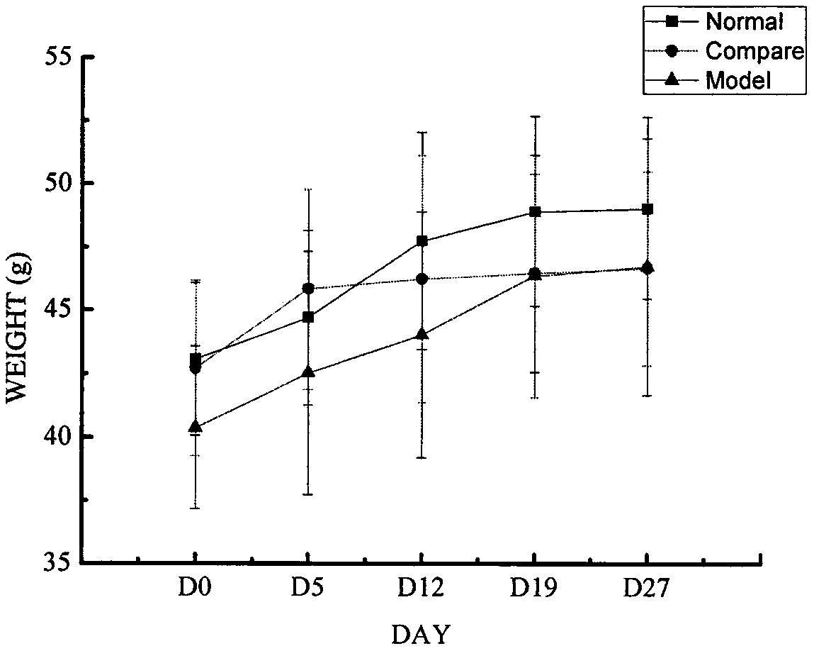 Composition containing water-soluble dietary fiber and insoluble dietary fiber and preparation method thereof