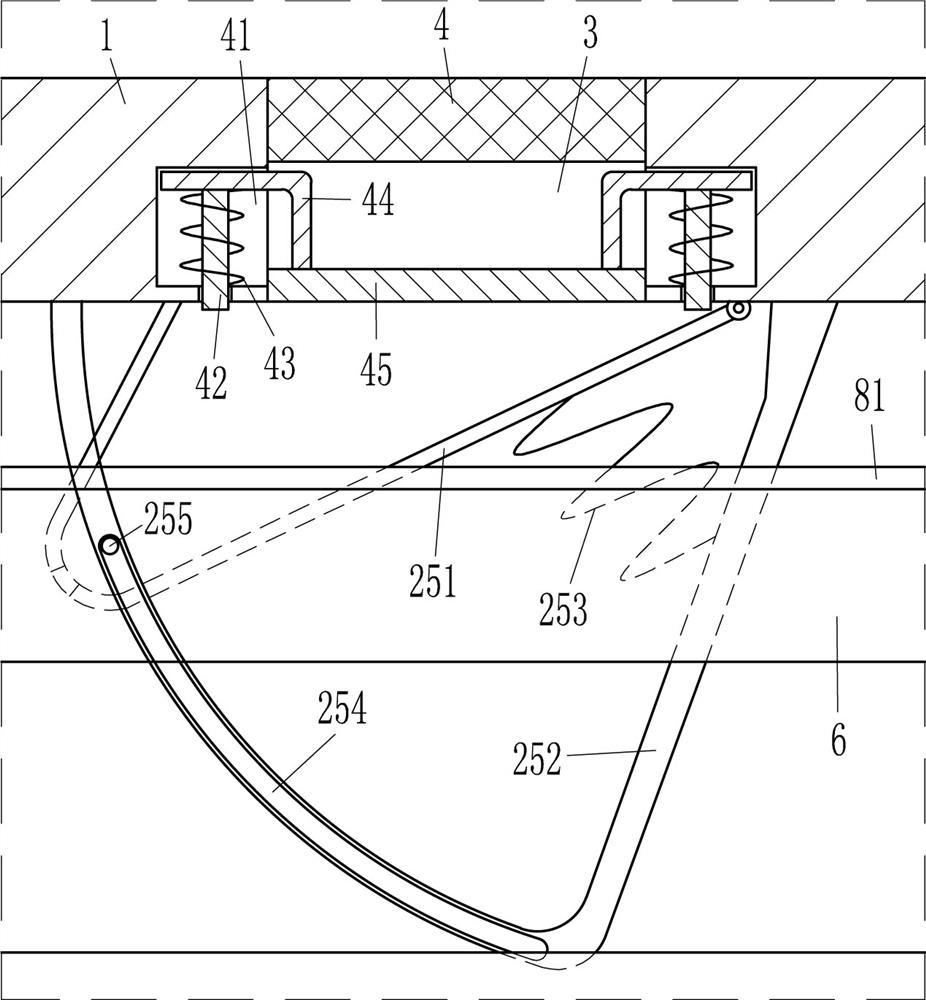 A carpet scrubbing device