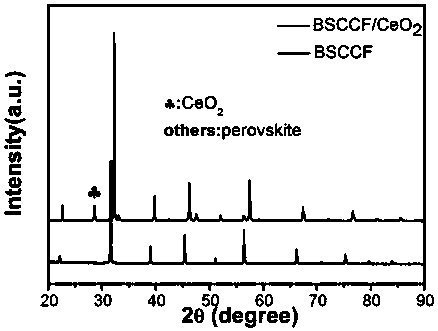 Double-functional perovskite/cerium oxide composite oxygen catalyst of bionic structure