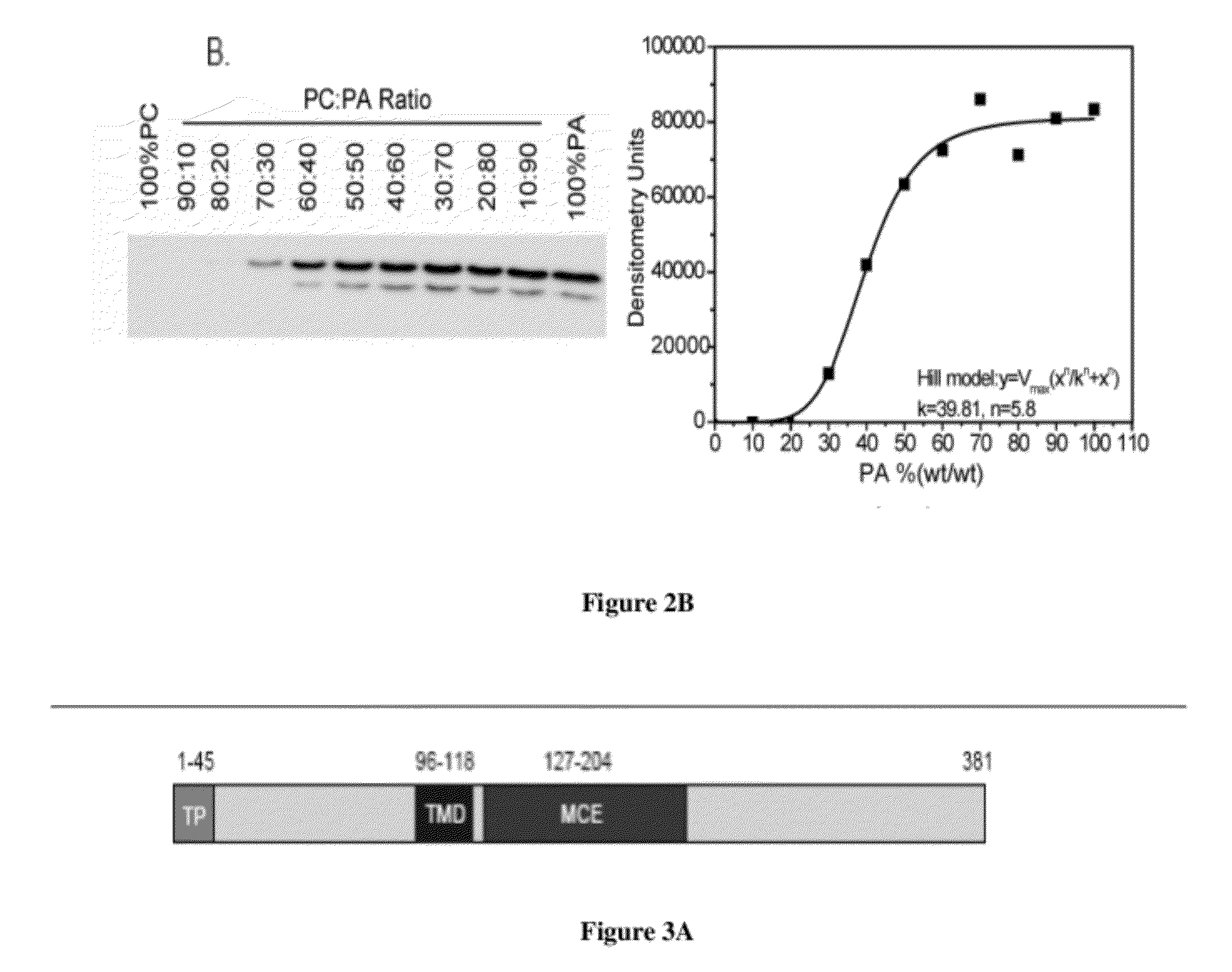 Specific detection and quantification of phosphatidic acid using an arabidopsis trigalactosyldiacylglycerol-4 (TGD4) protein