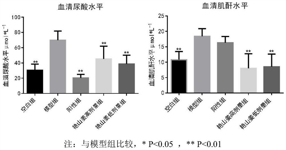 Application of alpinia zerumbet volatile oil in preparation of medicine for treating hyperuricemia