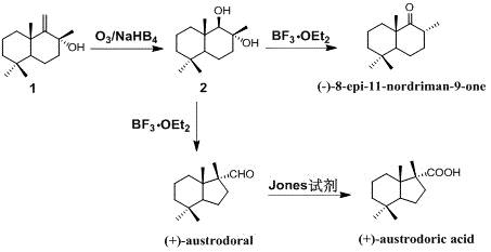 Synthetic method of austrodoral and austrodoric acid